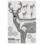 EZ Aim 23"x35" Deer Vitals Corrugated Target