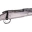 Platinum Stalker .270 Win 22" Thrd BBL5RD Gray