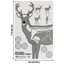 EZ Aim 23"x35" Deer Vitals Corrugated Target