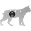 AR500 3/8" Silhouette / 1-Hole / Bobcat