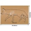 EZ Aim 23"x35" Coyote Silhouette Corrugated Target & Backer