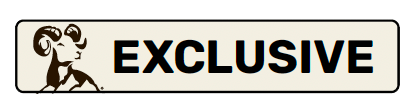 Exclusive