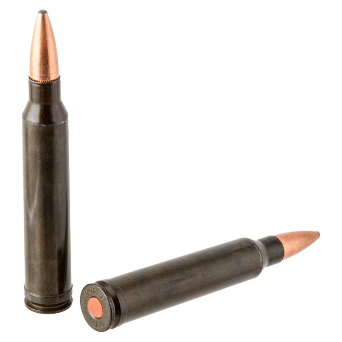TRADITIONS - Traditions Rifle Training Cartridge 300 Winchester Mag (2 CT)