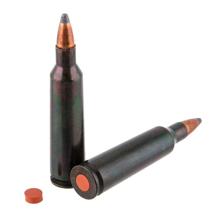 TRADITIONS - Traditions Rifle Training Cartridge 22-250 Rem (2 CT)