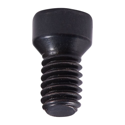 RUGER SCOPE RING SCREW, BLUE