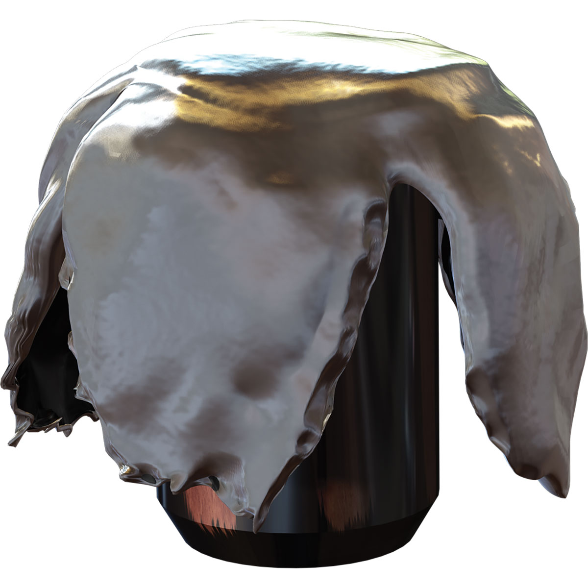 105003721_20W.jpg