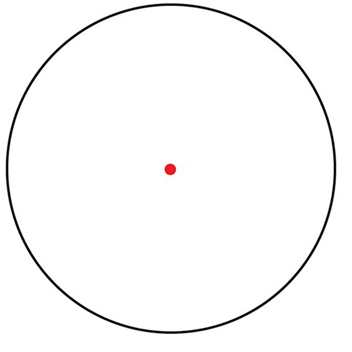 430113364_5W.jpg
