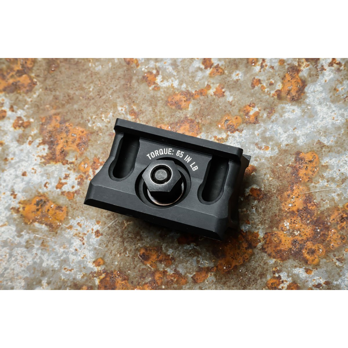 BRAVO COMPANY AT OPTIC MOUNTS