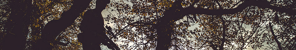 footer(2)