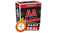 Daily Deal