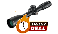 Daily Deal