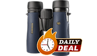 Daily Deal