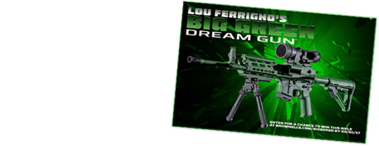 Big Green Dream Gun Poster