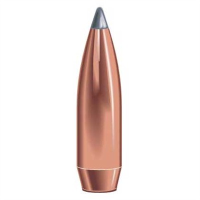Speer Boat Tail 30 Caliber (0.308