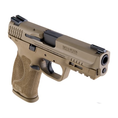 Smith & Wesson M&P 2.0 9mm 17 1 Fde Truglo Sights