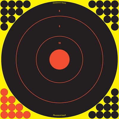 Birchwood Casey Shoot-N-C Target - 17.25