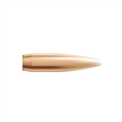 Nosler Custom Competition Bullets 6mm (0.243") 105gr Hollow Point Boat Tail 250/Box