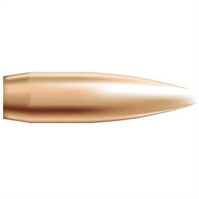 Nosler Custom Competition Bullets 22 Caliber (0.224") 69gr Hollow Point Boat Tail 1 000/Box