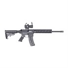 Smith & Wesson M&P15 Sport 22lr W/Red-Green Dot Optic image