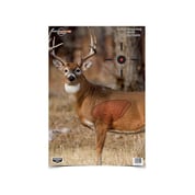 BIRCHWOOD CASEY - BC Pregame 16.5 X 24 Whitetail Target 3 Pk BIRCHWOOD CASEY - BC Pregame 16.5 X 24 Whitetail Target 3 Pk