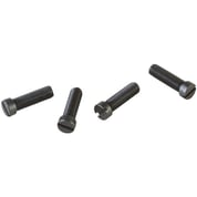 BROWNELLS - .146x48 OVERSIZE 6-48 SCREW SHOP KIT BROWNELLS - .146x48 OVERSIZE 6-48 SCREW SHOP KIT