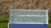 Should You Hunt With Subsonic Ammo?