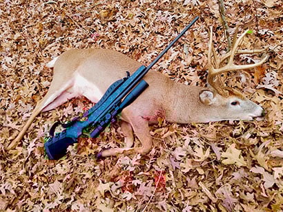 William's Deer